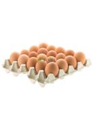 FARM FRESH YUMURTALARI 20'LI  Ünimar Süpermarket