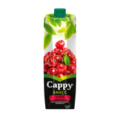 CAPPY VISNE 1LT TETRA  Ünimar Süpermarket