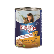 MIGLIORGATTO TAVUK/HINDI 400GR  Ünimar Süpermarket